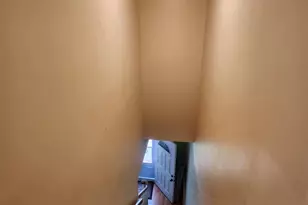 906 Tamarac Dr, Salisbury, MD 21804 - Photo 8