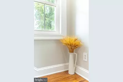 507 Ferry Street, Sharptown, MD 21861 - Photo 24