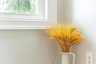 507 Ferry St, Sharptown, MD 21861 - Photo 24