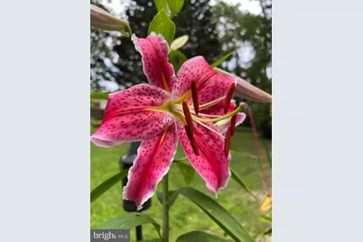 5437 Nithsdale Drive, Salisbury, MD 21801 - Photo 44