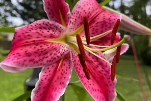 5437 Nithsdale Dr, Salisbury, MD 21801 - Photo 44