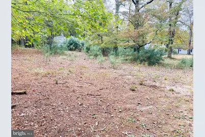 8923 Star Road, Delmar, MD 21875 - Photo 28