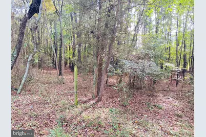 8923 Star Road, Delmar, MD 21875 - Photo 24