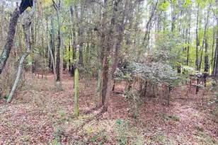 8923 Star Rd, Delmar, MD 21875 - Photo 24