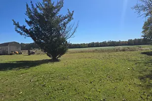 6728 Friendship Rd, Pittsville, MD 21850 - Photo 126