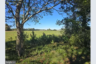 6728 Friendship Road, Pittsville, MD 21850 - Photo 120