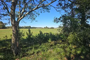 6728 Friendship Rd, Pittsville, MD 21850 - Photo 120