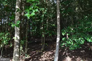 0 Yacht Club Rd, Eden, MD 21822 - Photo 10