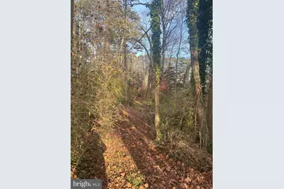 0 Cottman Road, Allen, MD 21810 - Photo 28