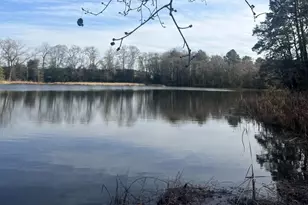 0 Cottman Rd, Allen, MD 21810 - Photo 1