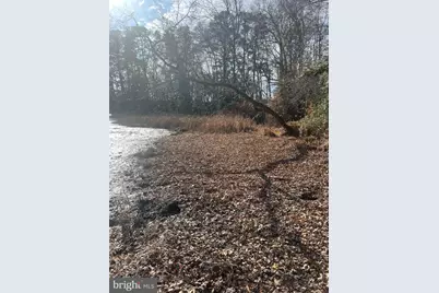 0 Cottman Road, Allen, MD 21810 - Photo 26