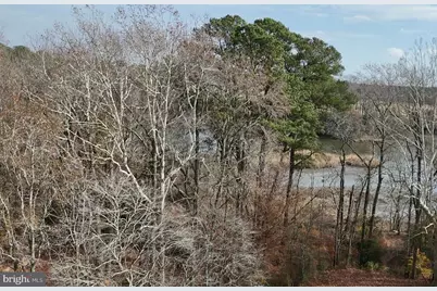 0 Cottman Road, Allen, MD 21810 - Photo 22