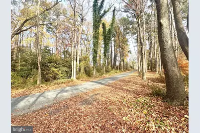 0 Cottman Road, Allen, MD 21810 - Photo 18