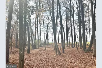 0 Cottman Road, Allen, MD 21810 - Photo 12