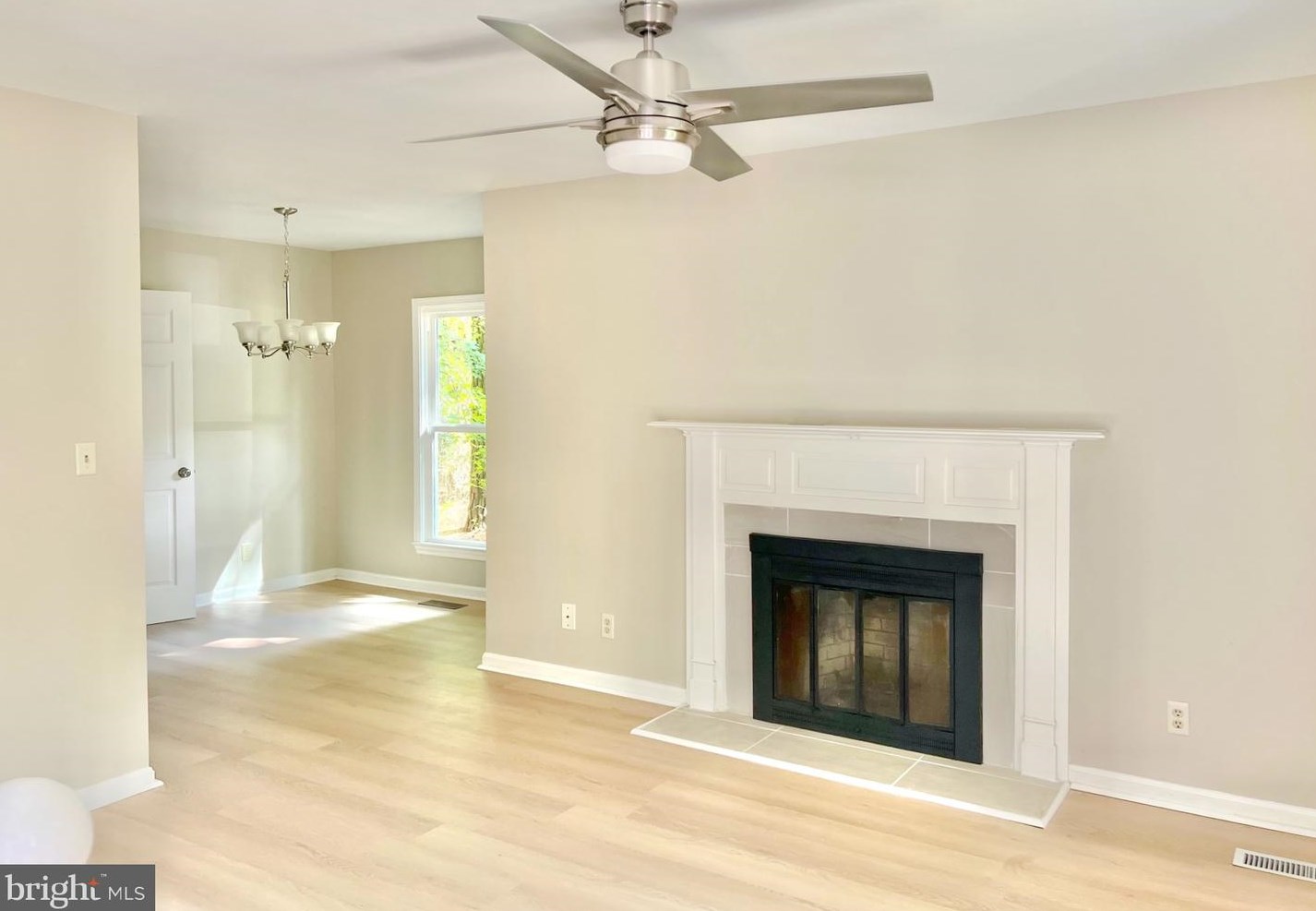 33 Liberty St, Berlin, MD 21811-1909