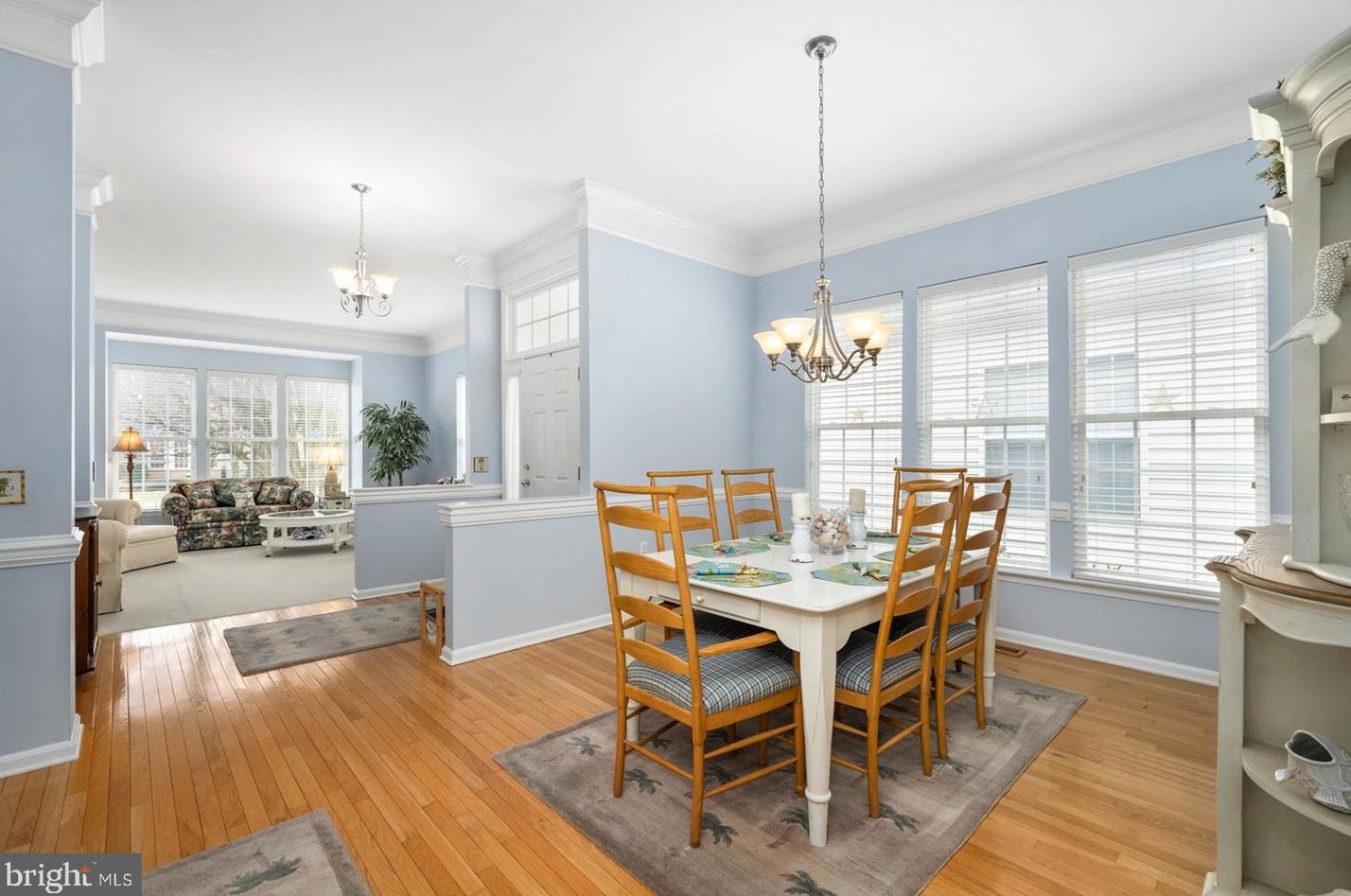 8 Alexandria Ct, Berlin MD  21811-3814 exterior