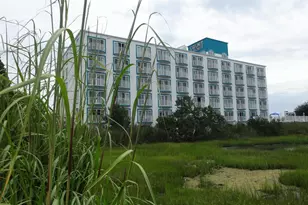 200 59th St, Ocean City, MD 21842 - Photo 62