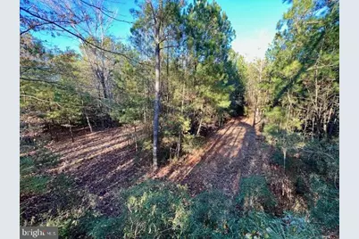 163 Hall Road, Pocomoke City, MD 21851 - Photo 124