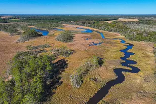 163 Hall Rd, Pocomoke City, MD 21851 - Photo 100