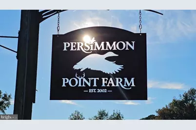 163 Hall Road, Pocomoke City, MD 21851 - Photo 4