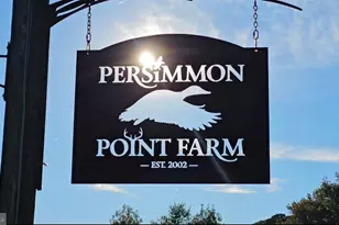 163 Hall Rd, Pocomoke City, MD 21851 - Photo 4