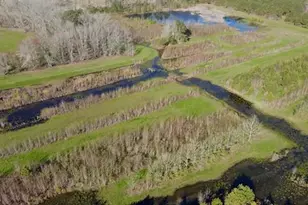 163 Hall Rd, Pocomoke City, MD 21851 - Photo 112