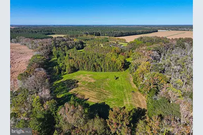 163 Hall Road, Pocomoke City, MD 21851 - Photo 96