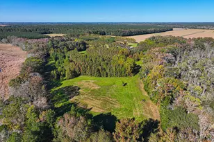 163 Hall Rd, Pocomoke City, MD 21851 - Photo 96