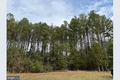 0 Old Green Mountain Rd, Esmont, VA 22937 - Photo 4