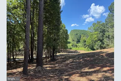 0 Old Green Mountain Rd, Esmont, VA 22937 - Photo 18