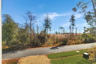 38100 Castaway Dr, Greenbackville, VA 23356 - Photo 48