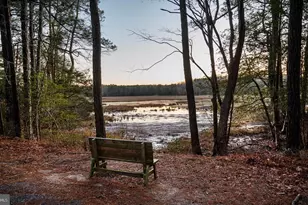 37444 Castaway Dr, Greenbackville, VA 23356 - Photo 24