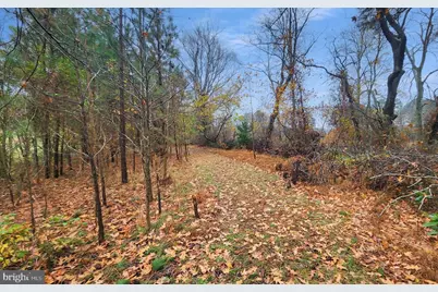 26355 Mount Nebo Road, Onancock, VA 23417 - Photo 52