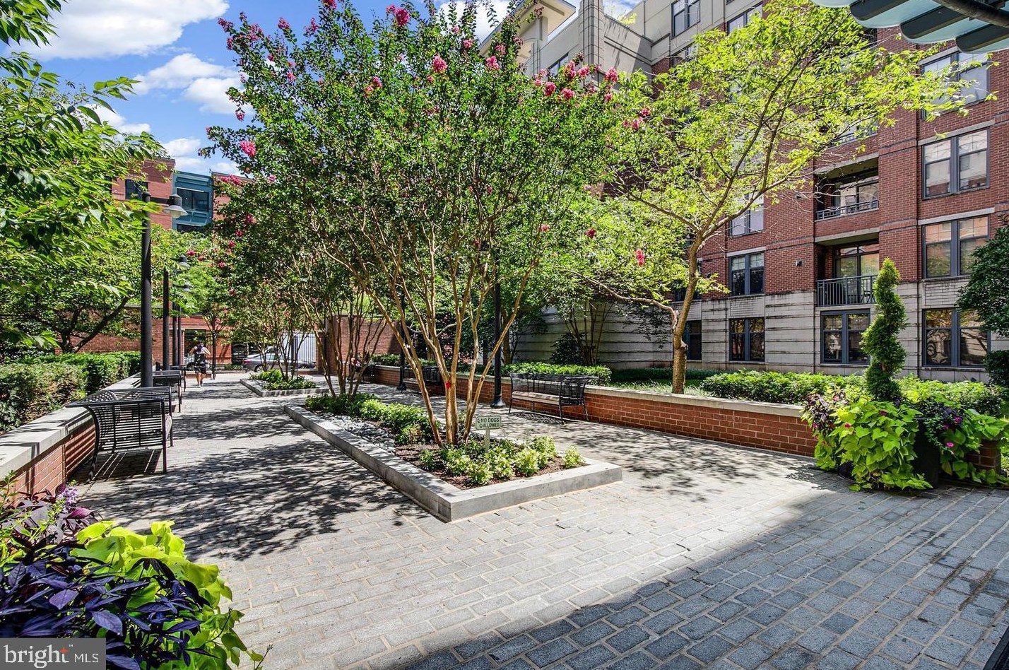 1021 Garfield St, Arlington VA  22201-2168 exterior