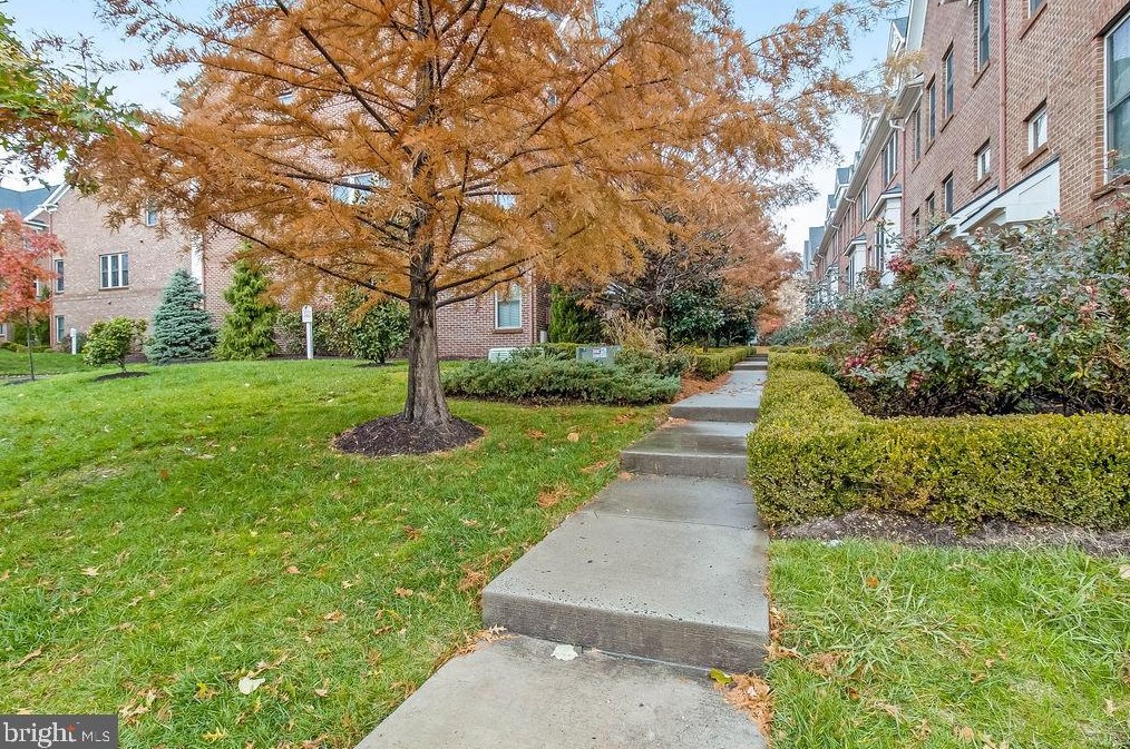 3347 Kemper Rd, Arlington, VA 22206