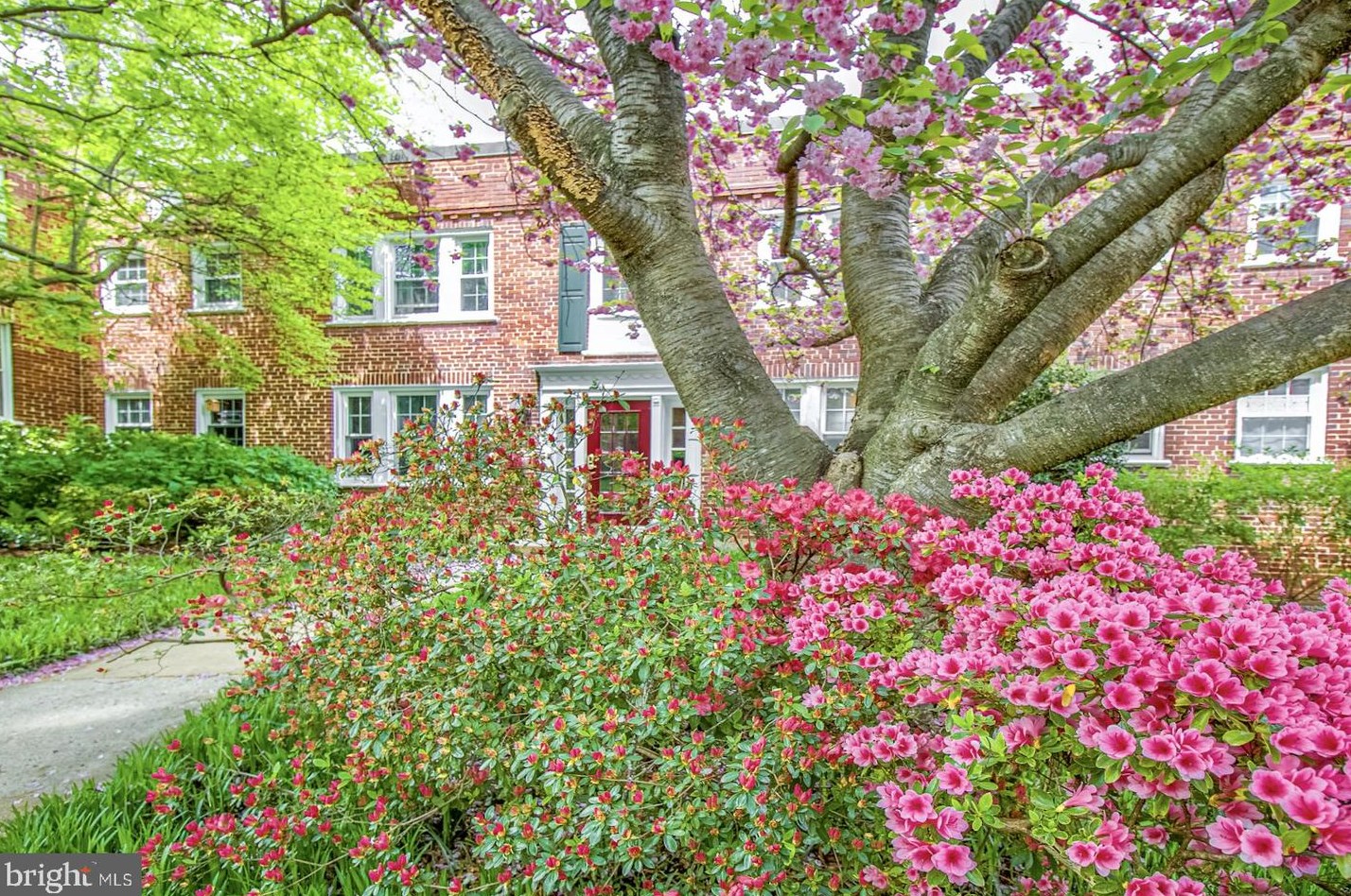 1902 N Rhodes St #62, Arlington, VA 22201