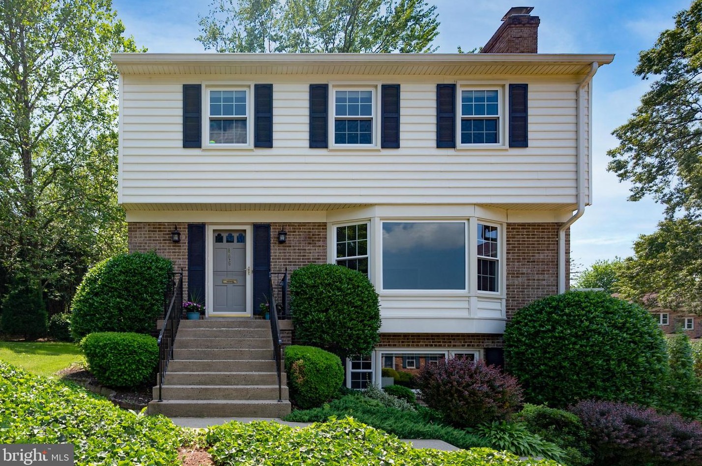 806 Stafford St, Arlington, VA 22203-1811