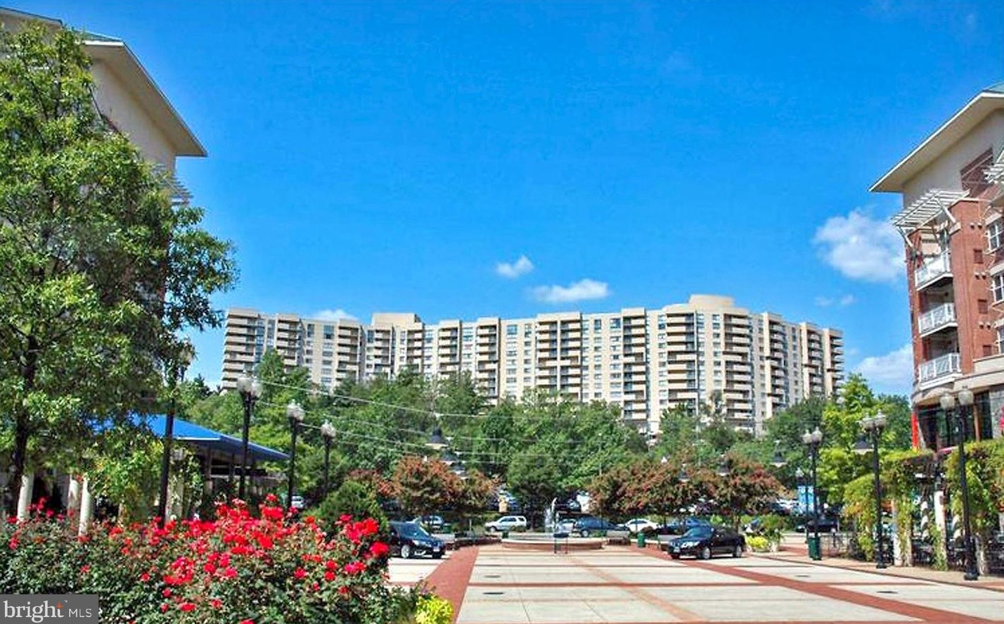 1101 S Arlington Ridge Rd #312, Arlington, VA 22202