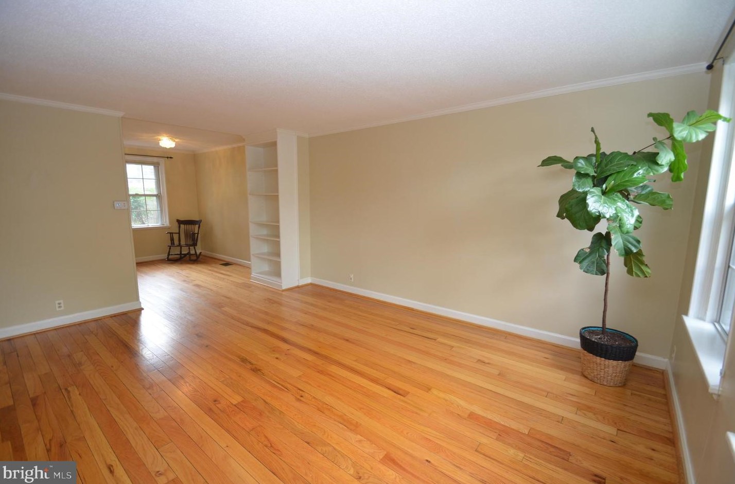 4614 34th St S, Arlington, VA 22206