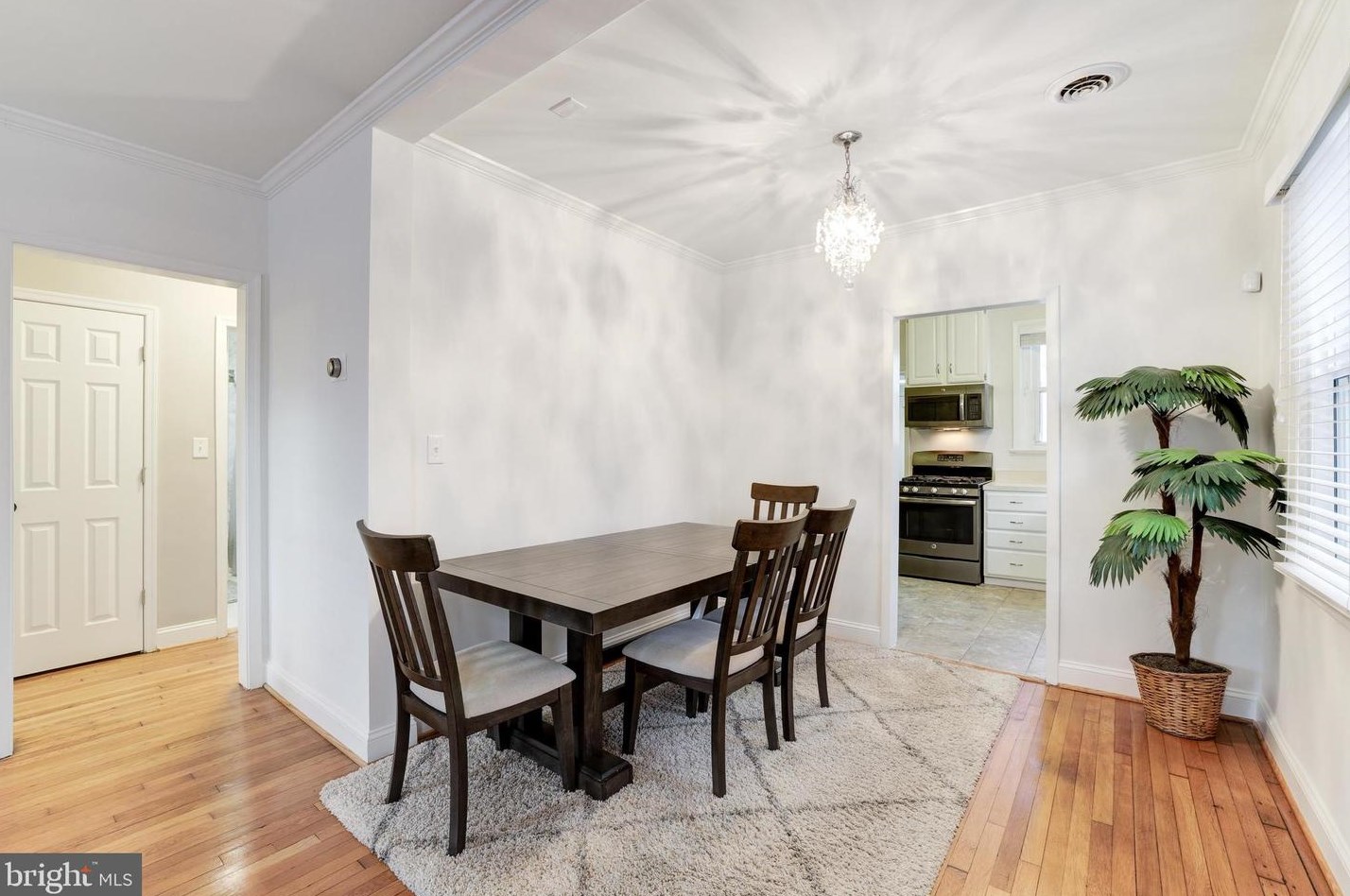 817 Oak St, Arlington VA  22204-4509 exterior