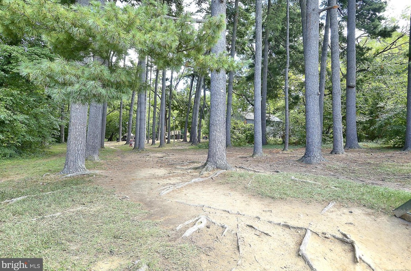 2525 Kenilworth St, Arlington VA  22207-1420 exterior