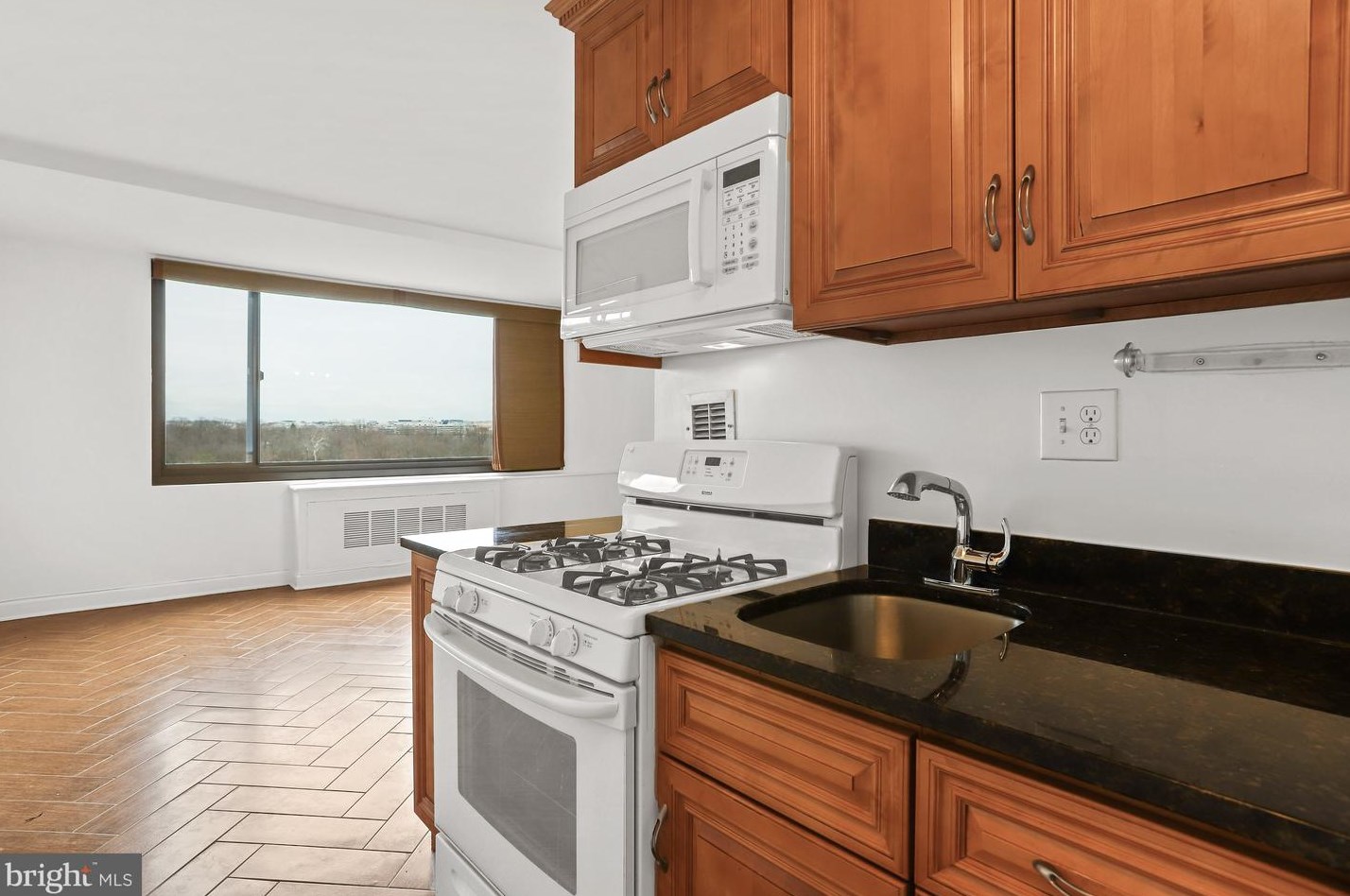 1011 Arlington Blvd #528, Arlington, VA 22209