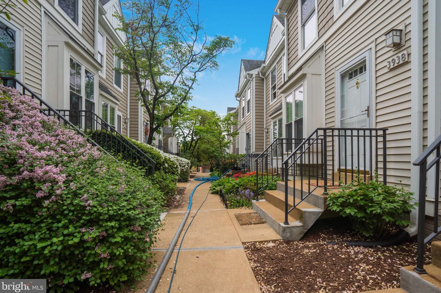 3938 9th Rd S, Arlington, VA 22204