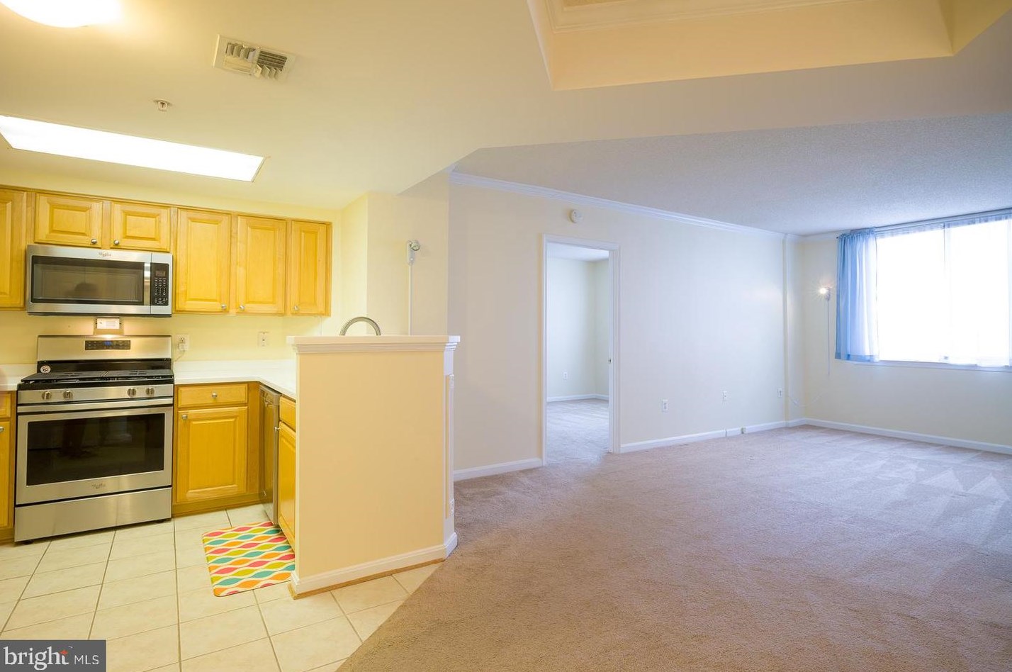 3835 9th St N #504w, Arlington, VA