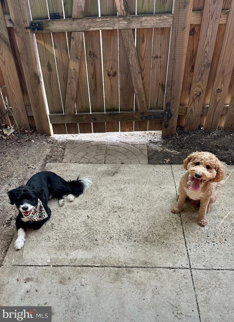 2661 Walter Reed Dr, Arlington VA  22206-1243 exterior