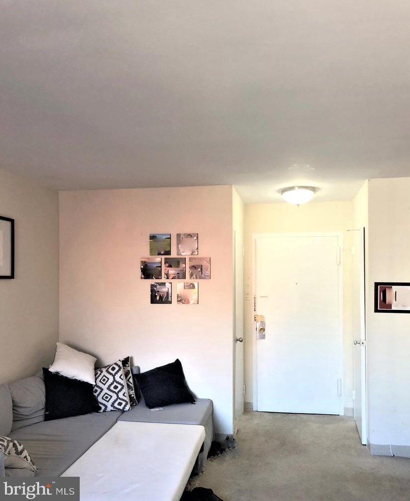 1111 Arlington Blvd #925, Arlington, VA 22209