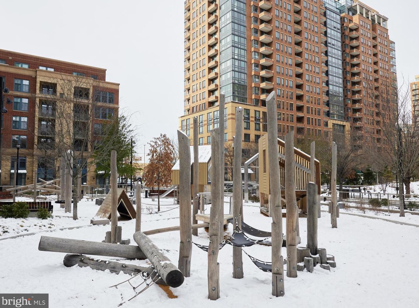 1615 Hayes St, Arlington VA  22202-5561 exterior