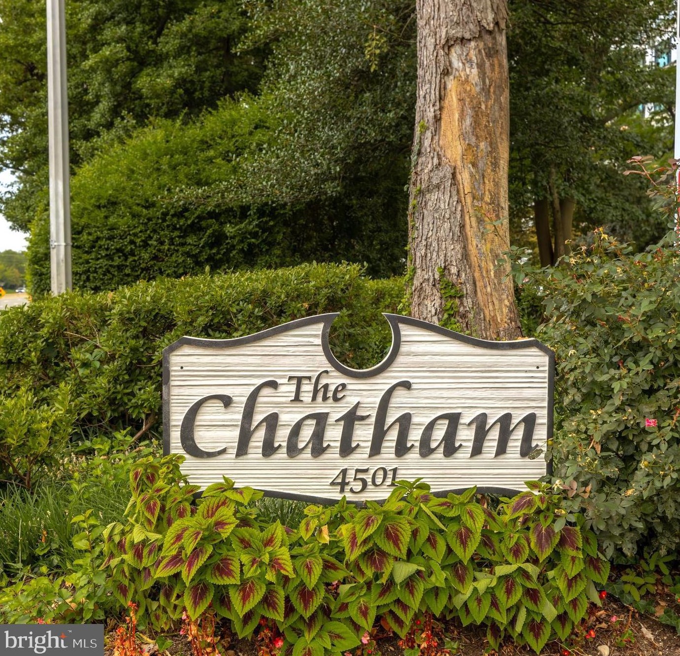 4501 Arlington Blvd #424, Arlington, VA 22203