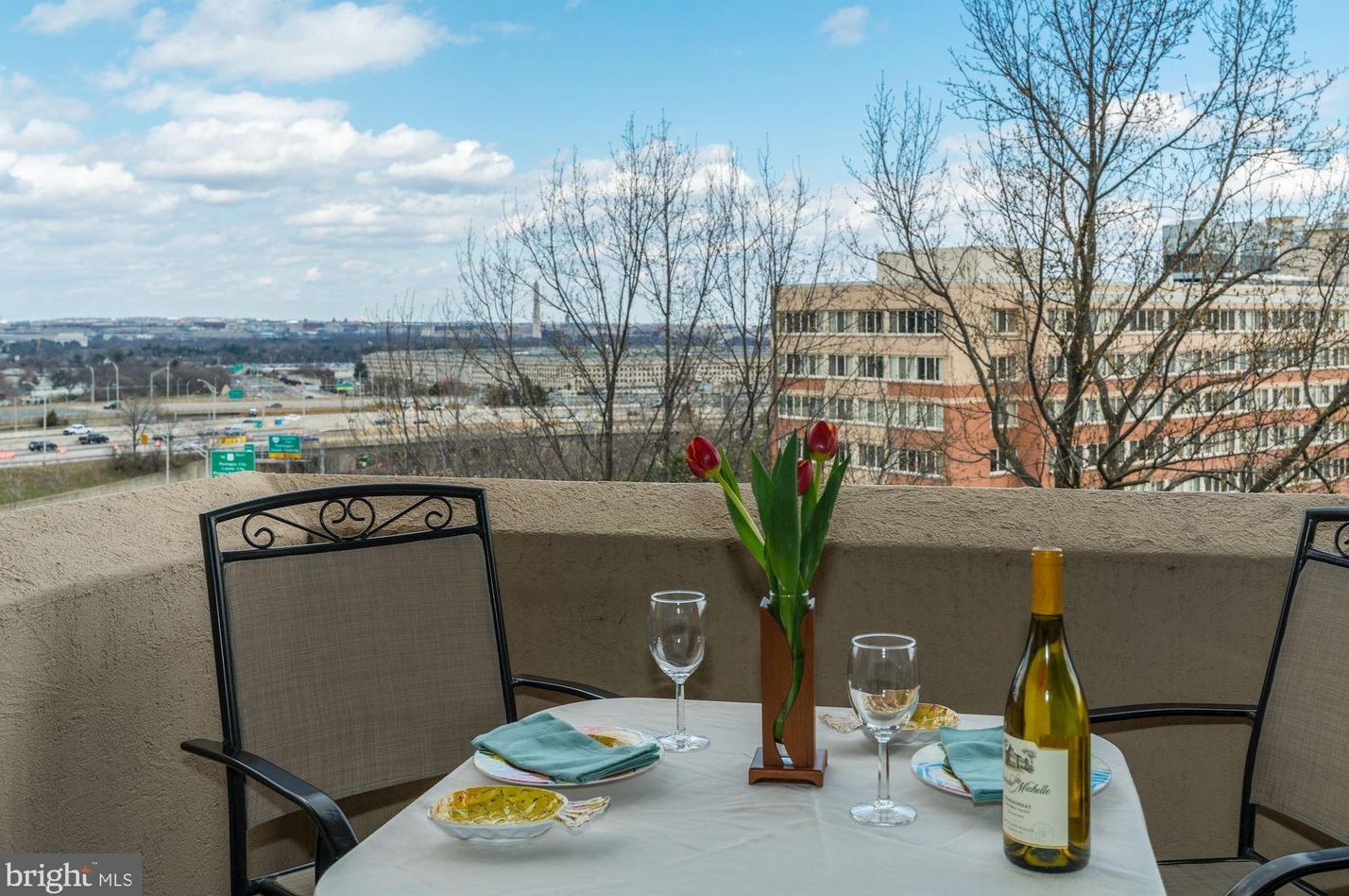 1101 S Arlington Ridge Rd #515, Arlington, VA 22202