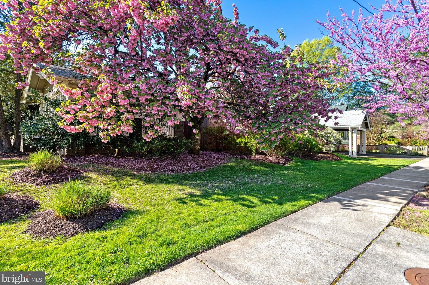 2436 Glebe Rd, Arlington, VA 22207-3536